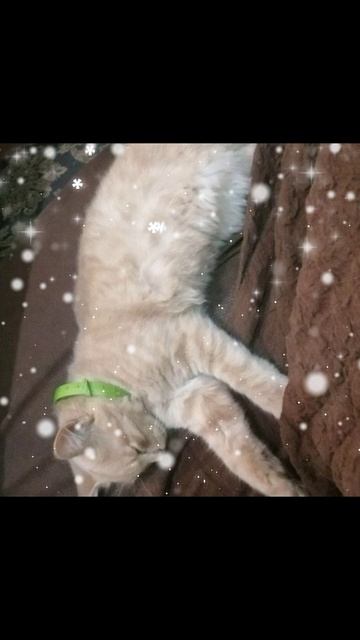 E74dc703fedd80b119e39c6e0ca903c0