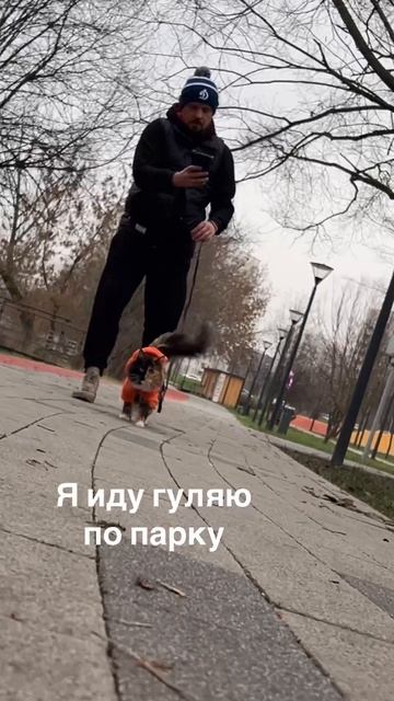 Худи для кошек/собак RICH BREED