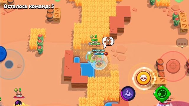 41 мину про бравл