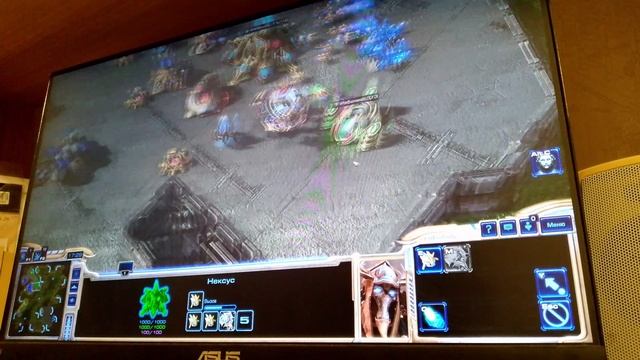 играем в стар крафт 2