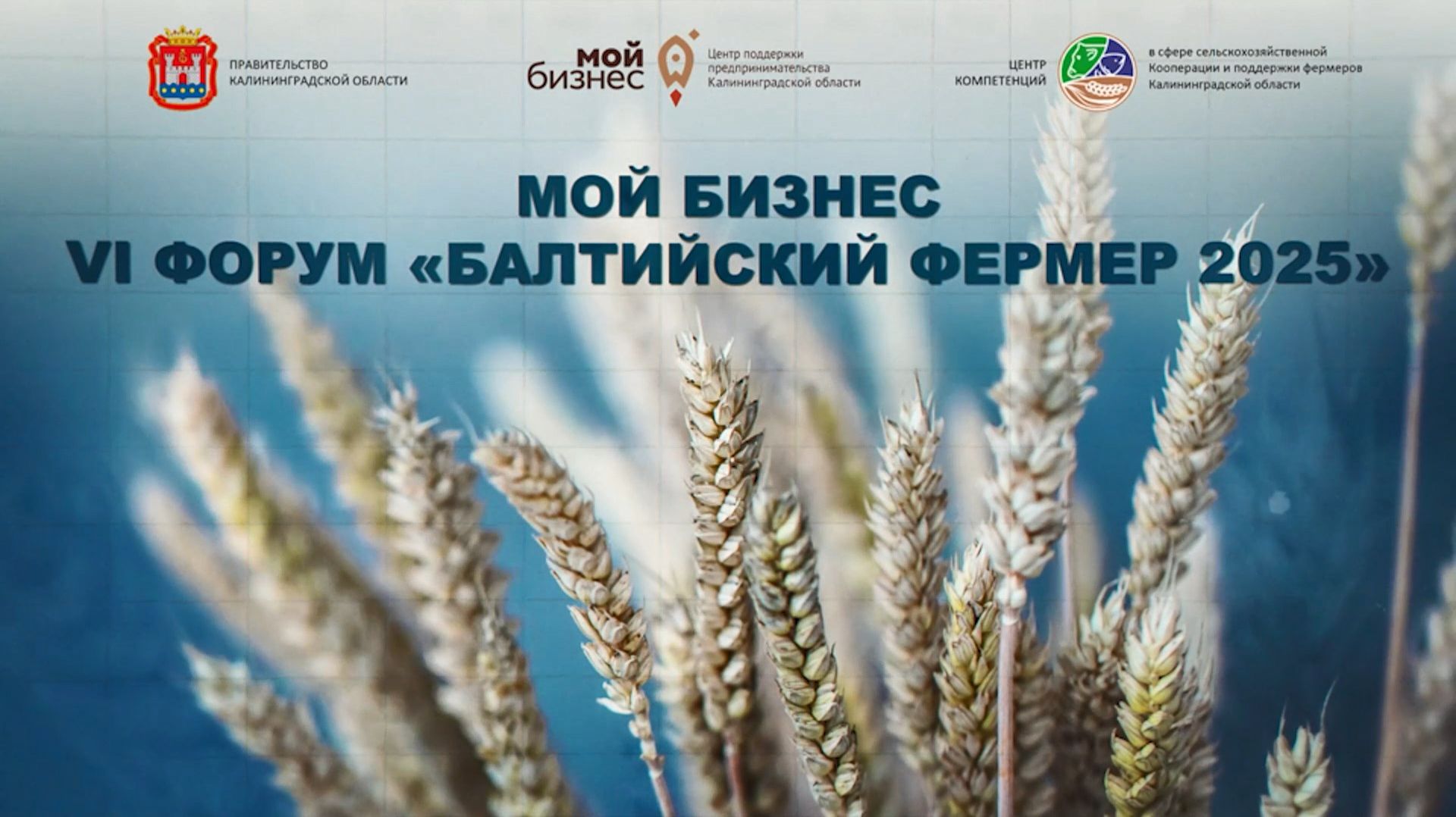 Балтийский фермер 2025