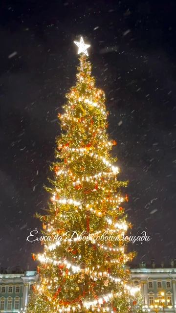 Главная ёлка Петербурга на Дворцовой площади 🎁🎉🎄