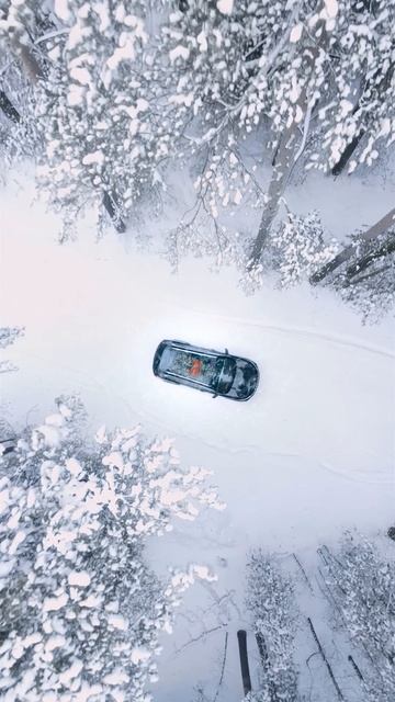 B8f3fcea9a3b3894125a7bff9b0e3ef9