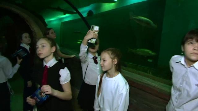 Когда пятёрки приводят к приключениям: школьники в океанариуме