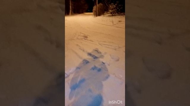 Оскар и снег...