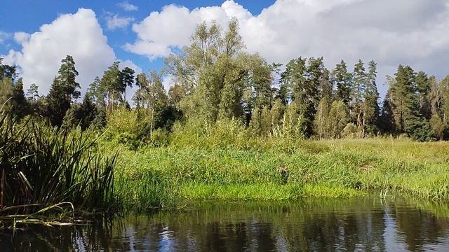 Москва-река 2025