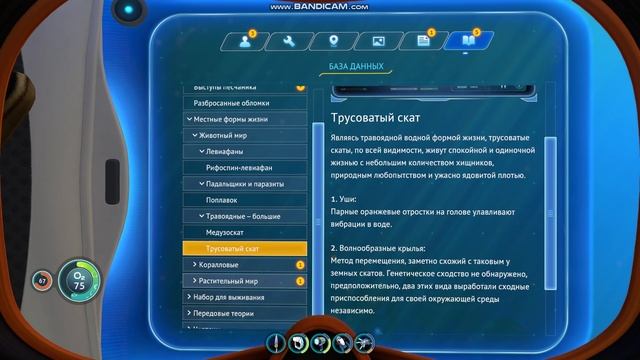 играю в субнатику