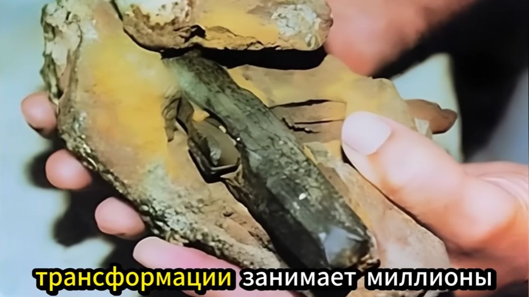 500 МИЛЛИОНОВ ЛЕТ НАЗАД_ Кто оставил след ботинка в слое кембрийского периода_