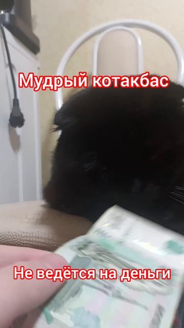 F5db255120666f70c469523fad11cdfd