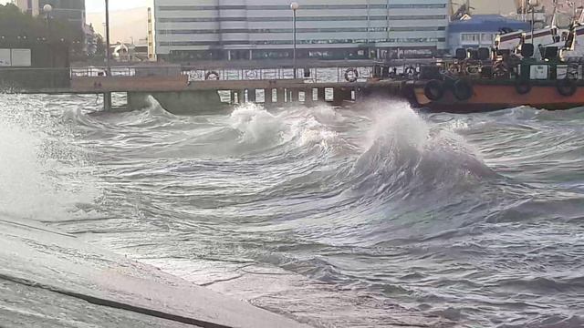 Погода в Новороссийске