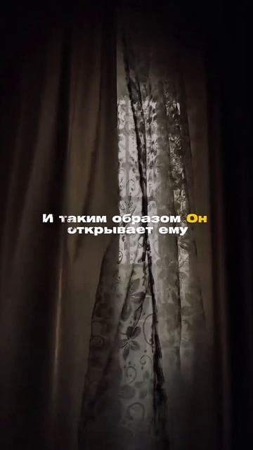 Всевышний любит тебя