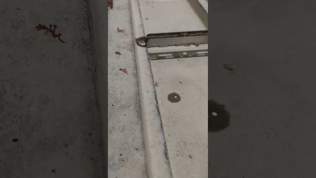 ВОДОПОГЛОЩЕНИЕ БЕТОННЫХ  ЛОТКОВ