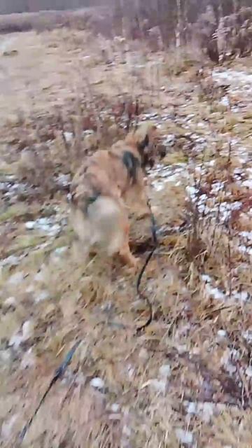 913da32bce53cb24874964a833c76a3e