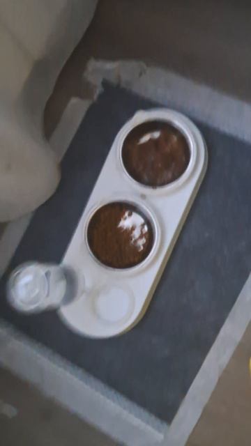 Моё домашнее животнон. часть 2