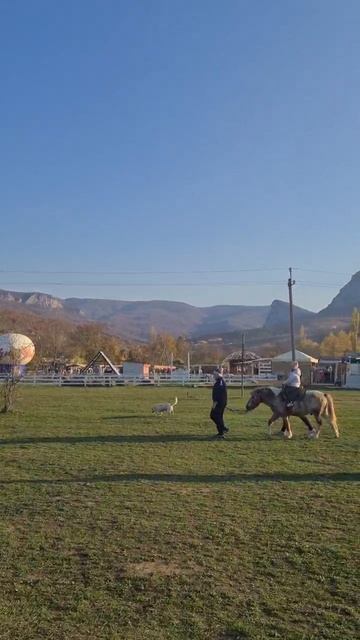 Video_2025-11-11_21-06-34