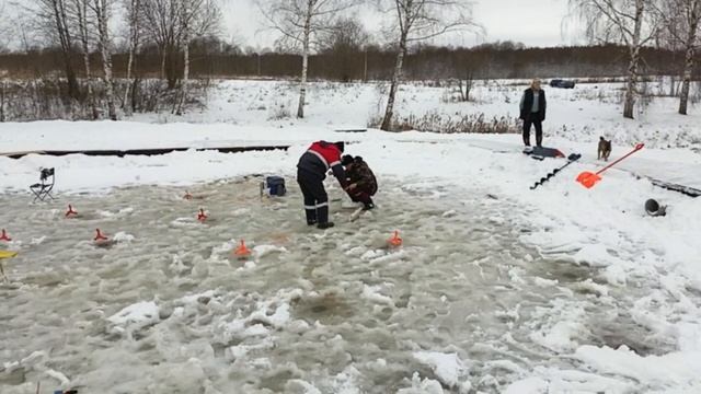 Со льда