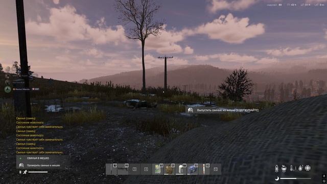 Dayz Момент