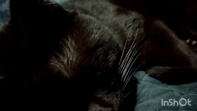 Друг Оскара