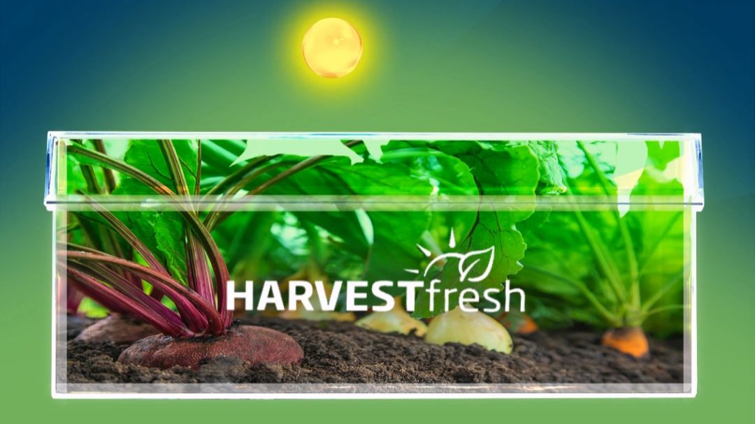 Моушн-дизайн 🌞 Технология Harvest Fresh в холодильниках Beko