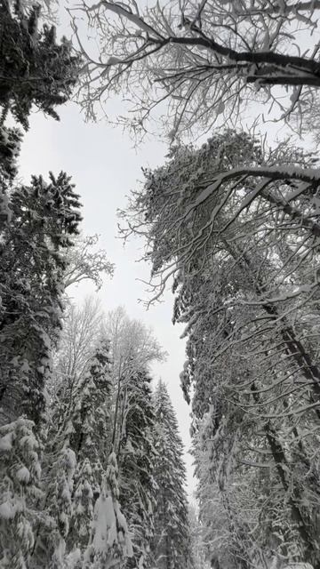 Зимняя сказка  #неспортивныйтурист