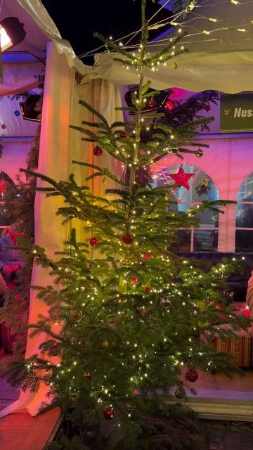 Рождественское настроение в Галле - Halle Saale 2025