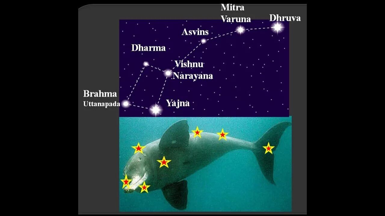 5-23. Вселенский дельфин Шишумара Шримад Бхагаватам