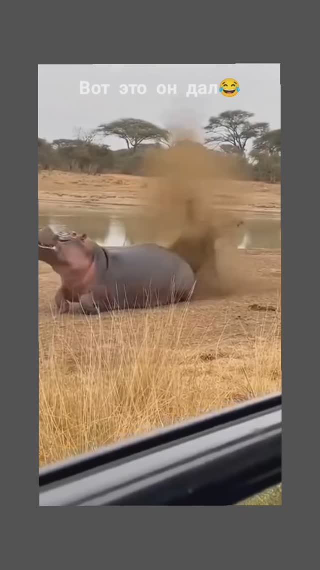 Лучшая подборка номер 7