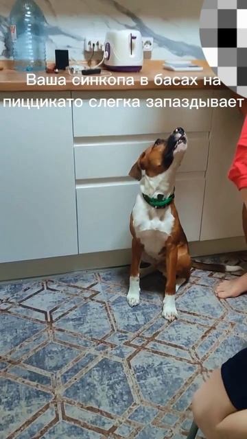 #хорошиймальчик