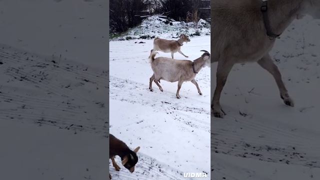 в этом году мы больше не увидимся. До встречи в новом году 🫶🏻