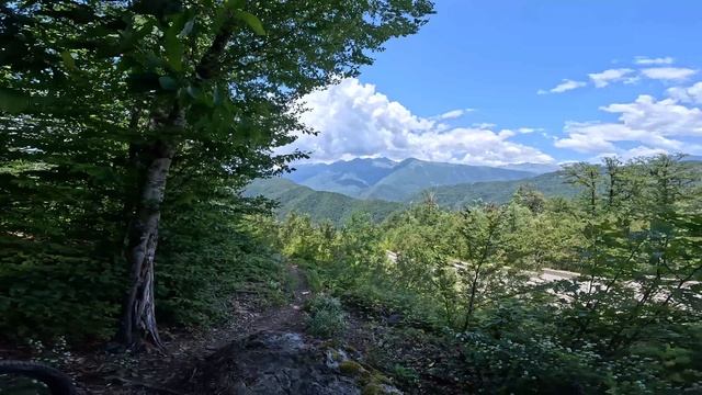 DownHill_Sochi_KrasnayPolyana_GMIH