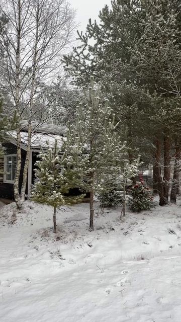 Video-output-EAE2677D-426A-4644-9BA0-F8220E921732-2