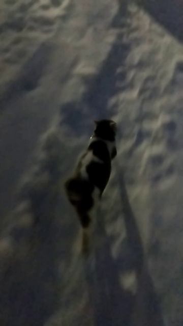 Томас встречает меня с работы