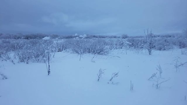 Лыжня в Декабре 2025 год с Настулающим Новым Годом.