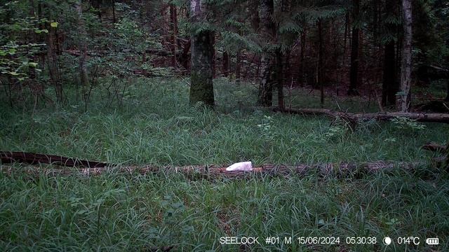 16ab2461443374d86c0774b998108183