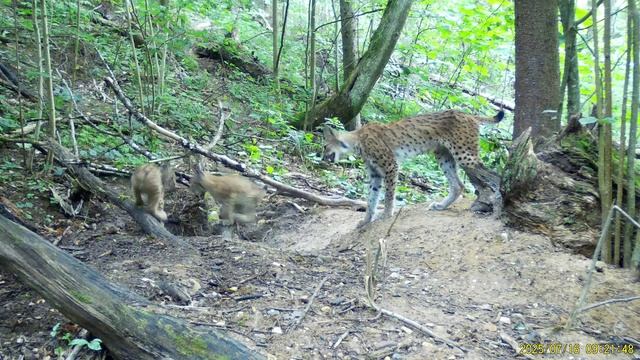 61e124f04c390763d9b1e24f842f23b0