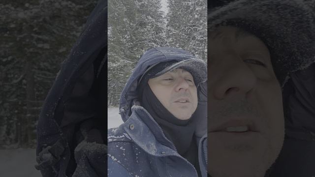 Еты-Пур 29.12.25