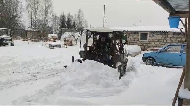 Носорог чистит территорию