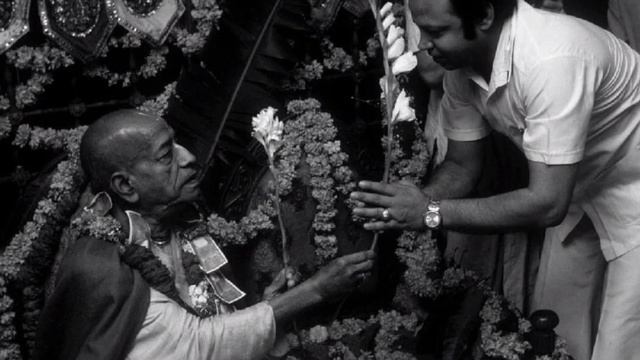 74c47506fa1fbfb0f789ec085c2a9f0b