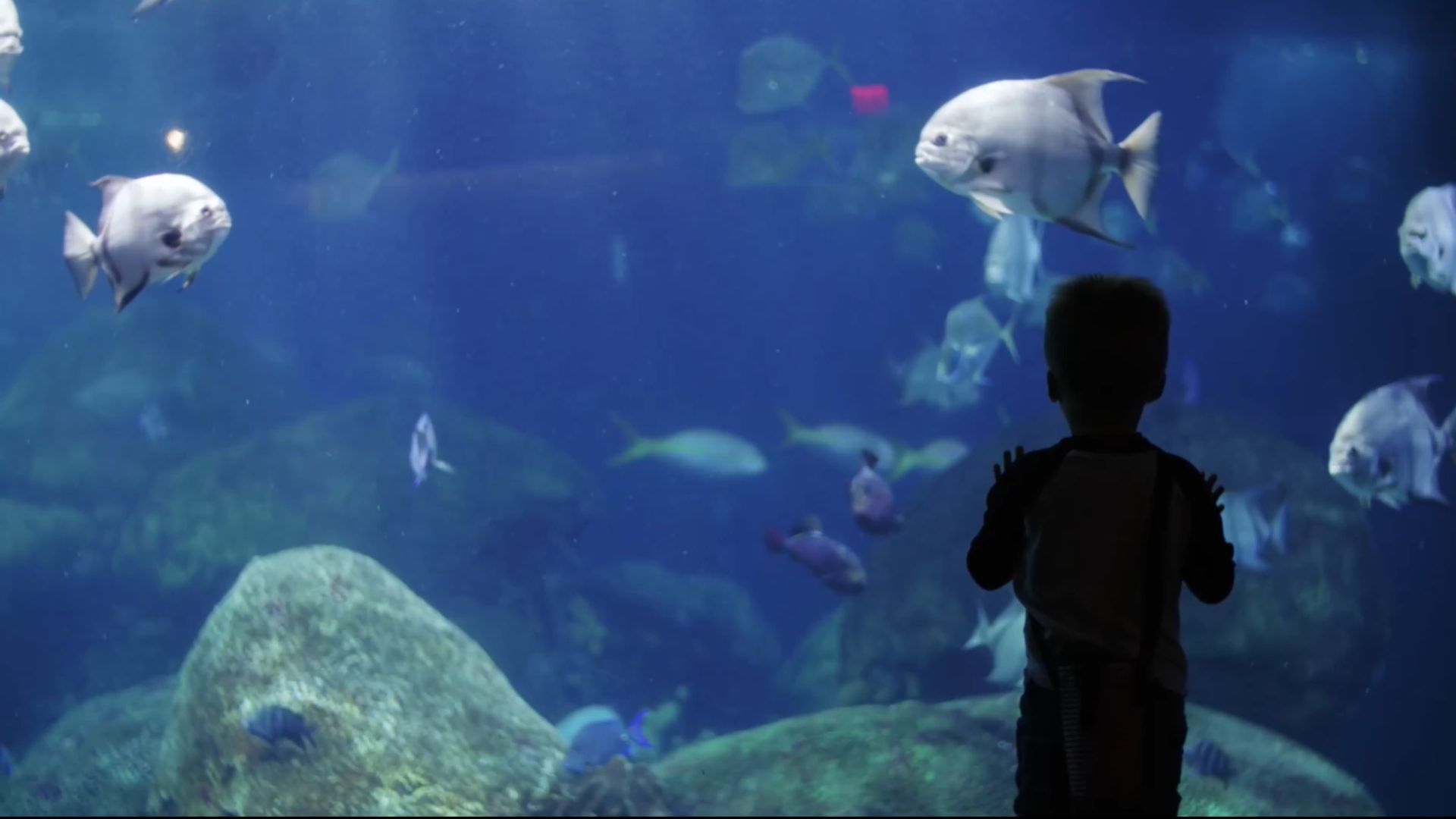 Ruizhi Machinery  Инновационные решения, разработанные для промышленности