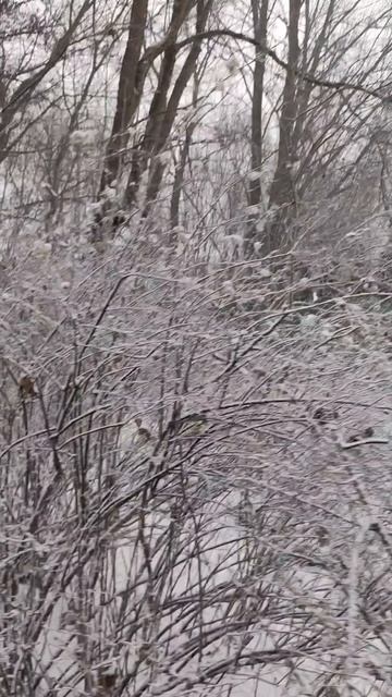 Lv_0_20251230154203.mp4