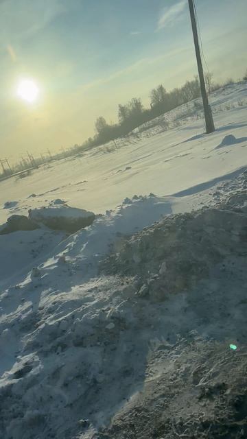 Картонные дела