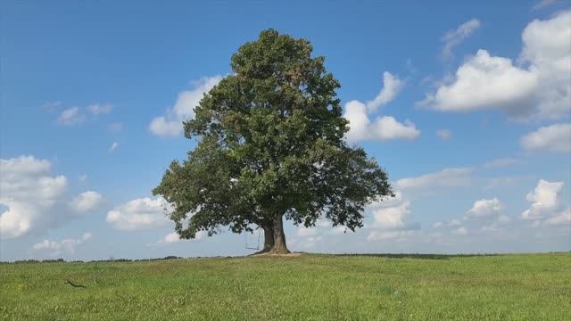 F77fba2193f5882c626afc6f92fa1dcb