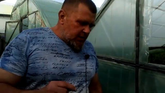Что такое дробный полив. Как правильно вносить органические удобрения