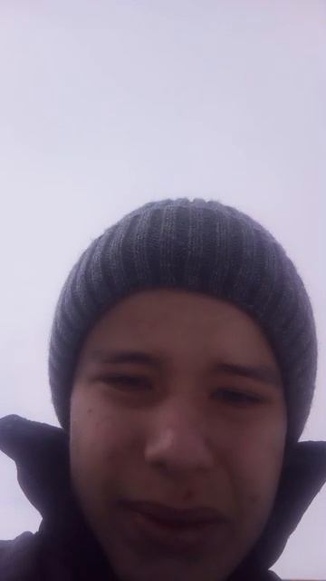 стрим с собакой