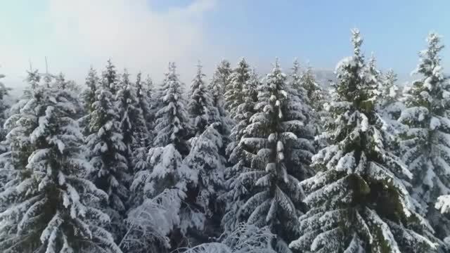 2656960d3b678fd5fa2f55ee718d4ba7