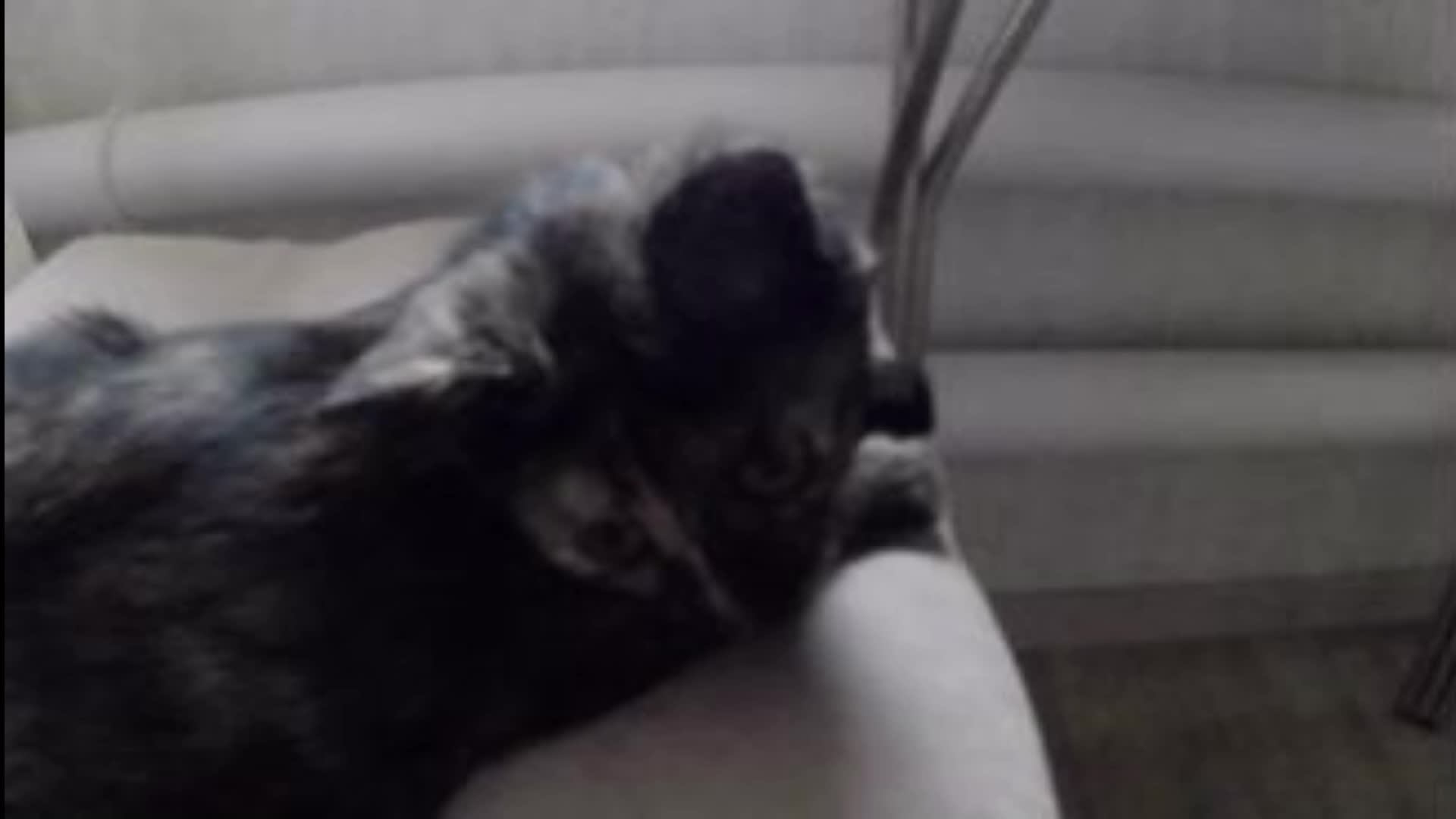 с наступающим