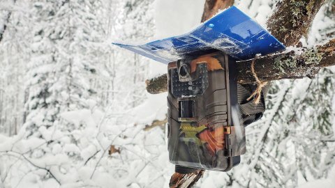 Оставил Фотоловушку в зимнем лесу на месяц. Кто пришёл?