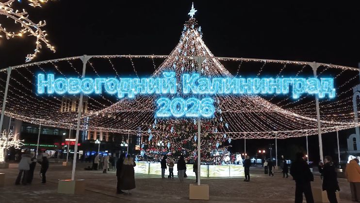 Новогодний Калининград 2026