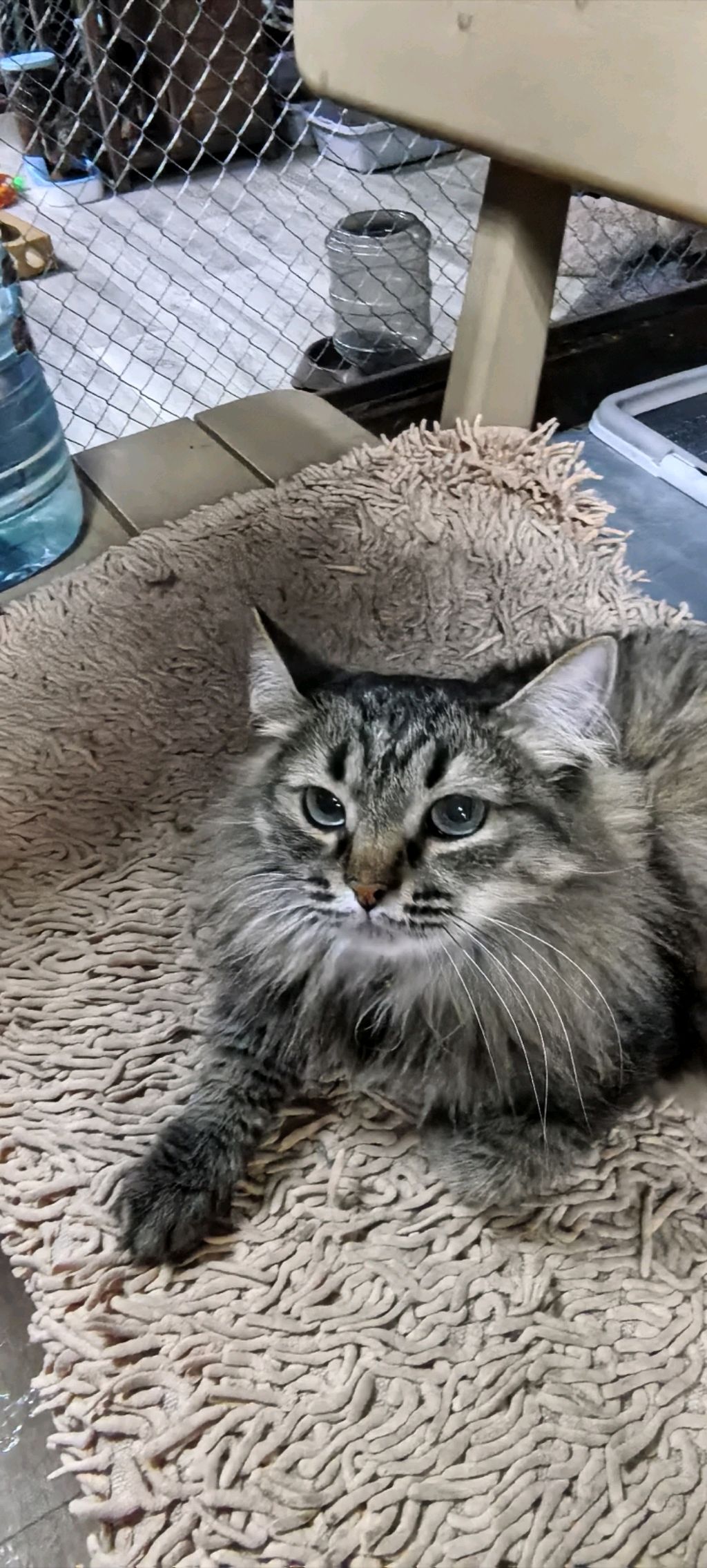 Ec7eb0dbd18ba0c87e70075dda2756e8