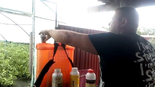 Фитактив Урожай, свирепый налив плодов томата на нулевой воде